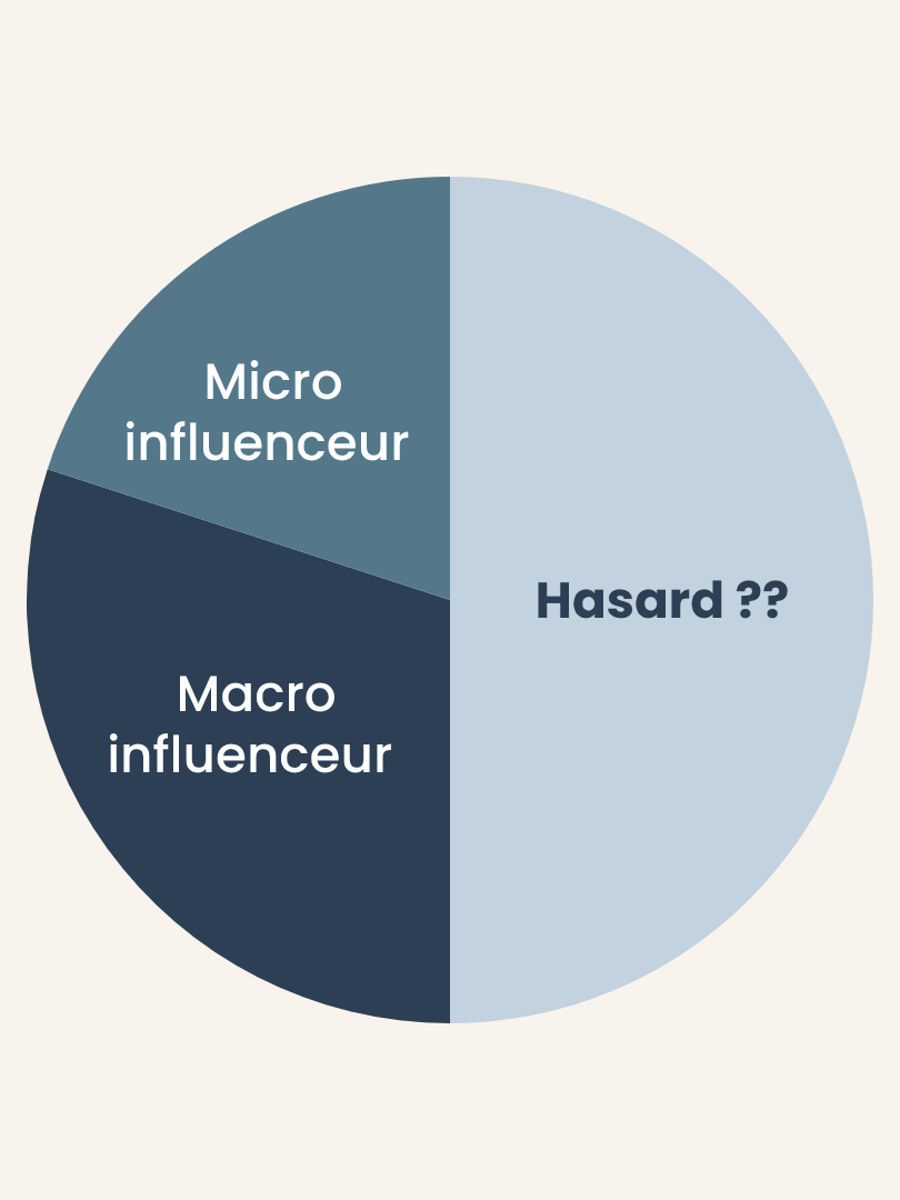 Diagramme divisé entre micro, macro influenceur et le hasard 